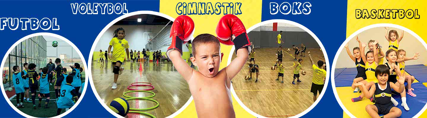 Fenerbahçe Basketbol Voleybol Futbol Cimnastik Boks Okulu