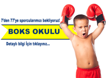 Boks Okulu